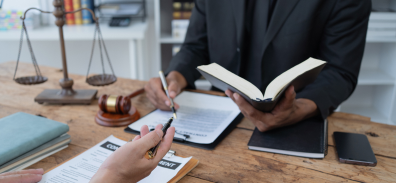 Judicial Review Services