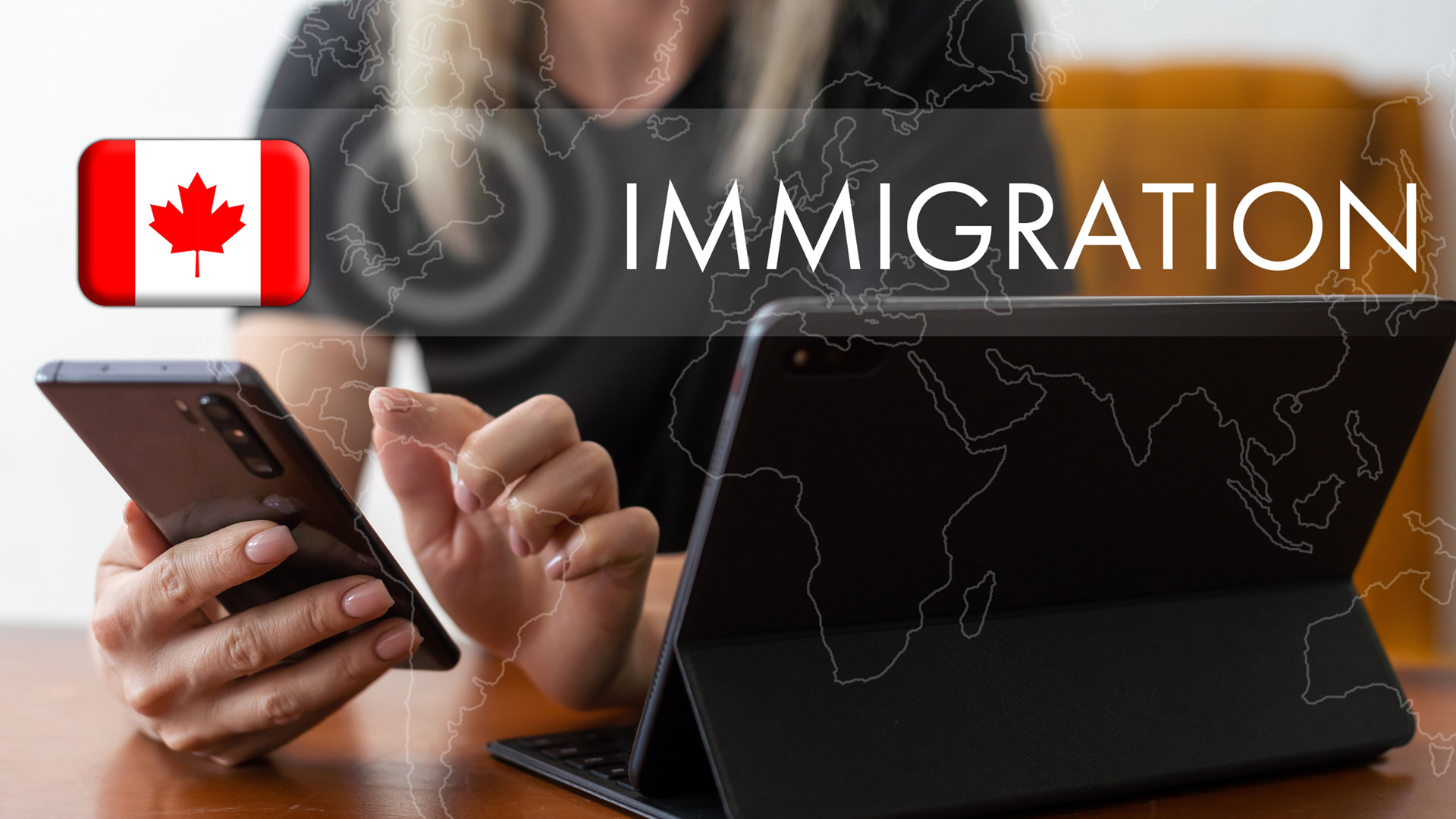 Immigration lawyer