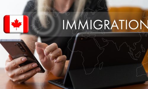 Immigration lawyer